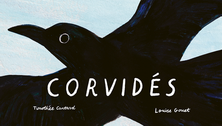 Le Groupe Jeunes de la LPO Bretagne associé à un album sur les corvidés
